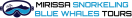 Mirissa Blue Whales Tours